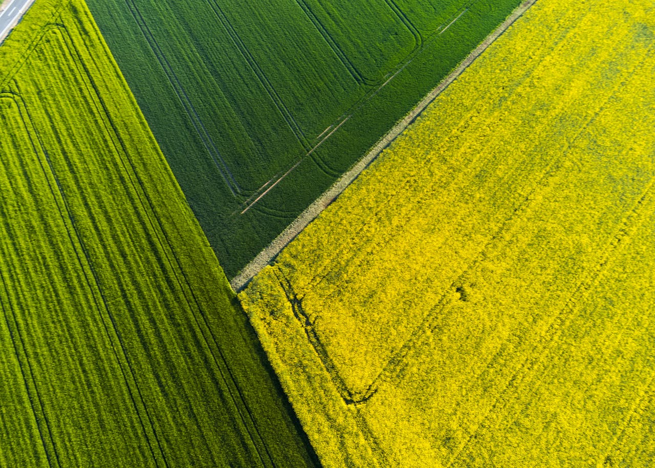 A stunning aerial view of green and yellow fields in full bloom, creating a vivid contrast.
